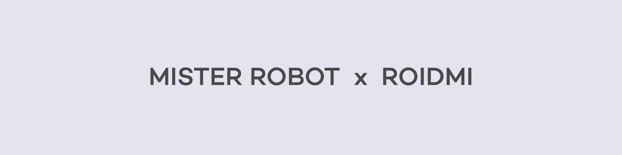 mister robot roidmi